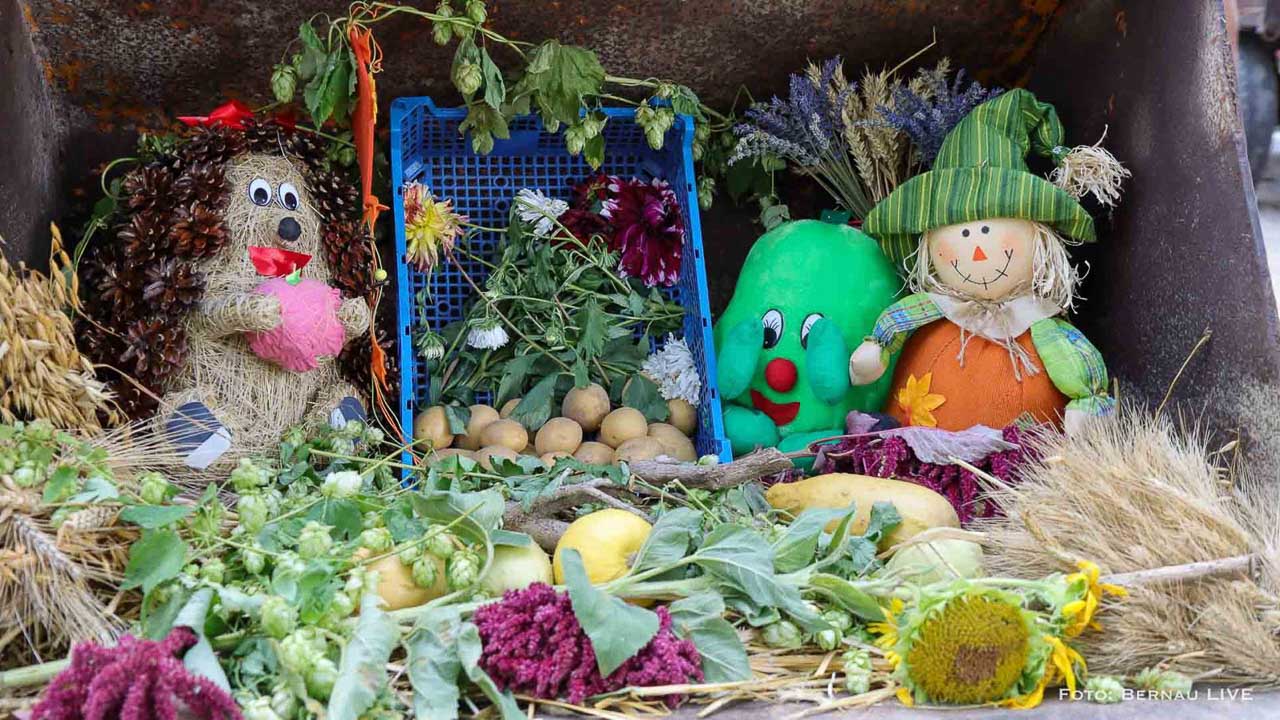 Vogelscheuchenmarkt mit offenen Höfen und Programm in Altlandsberg 24 Vogelscheuchenmarkt mit offenen Höfen und Programm in Altlandsberg