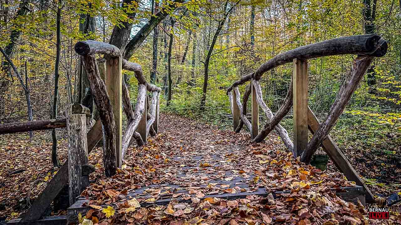Raus in den Herbst: RangerTour oder Herbstwanderung am Wochenende 1 Raus in den Herbst: RangerTour oder Herbstwanderung am Wochenende
