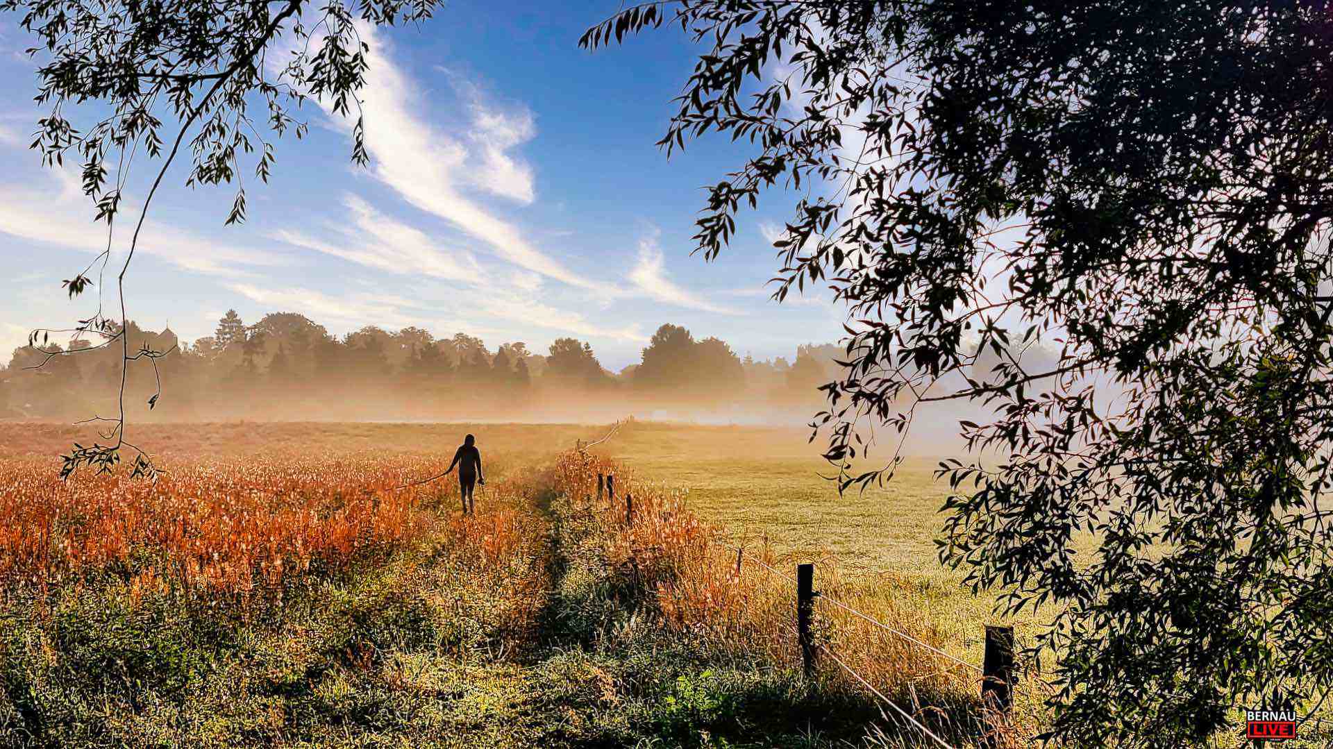 Veranstaltungen und Tipps für das Wochenende in Bernau und Barnim (18. - 19.10.) 1 Veranstaltungen und Tipps für das Wochenende in Bernau und Barnim (18. - 19.10.)