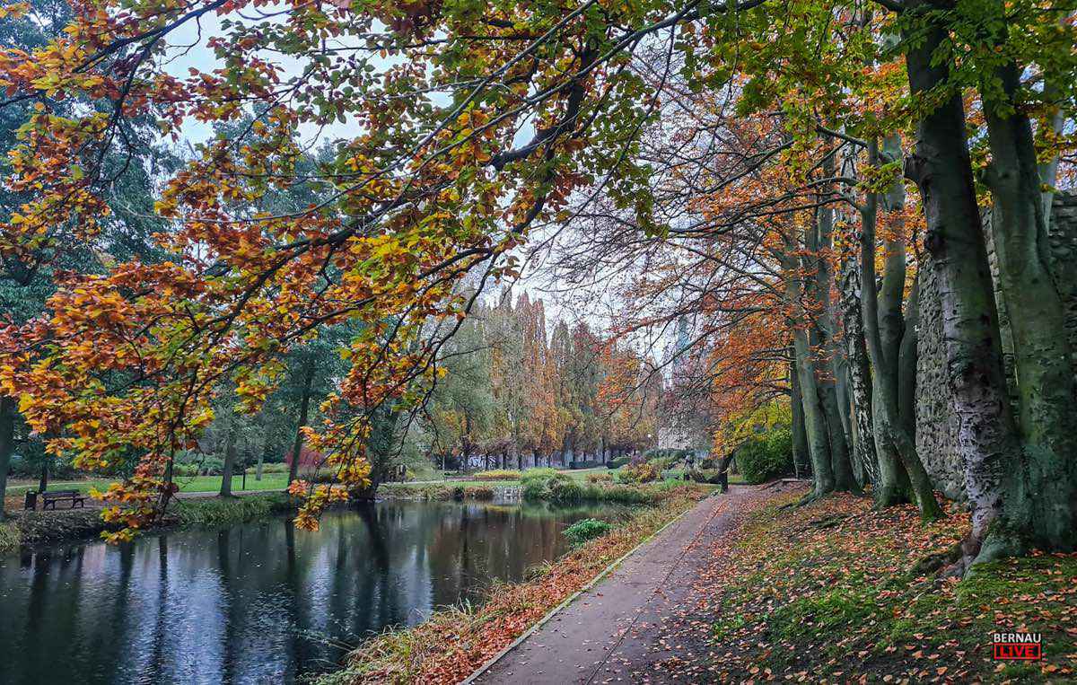 Willkommen in der neuen Woche und guten Morgen aus Bernau 6 Willkommen in der neuen Woche und guten Morgen aus Bernau