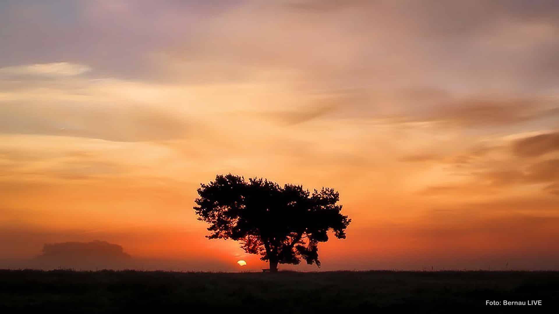 Guten Morgen aus Bernau und einen schönen Donnerstag 32 Guten Morgen aus Bernau und einen schönen Donnerstag