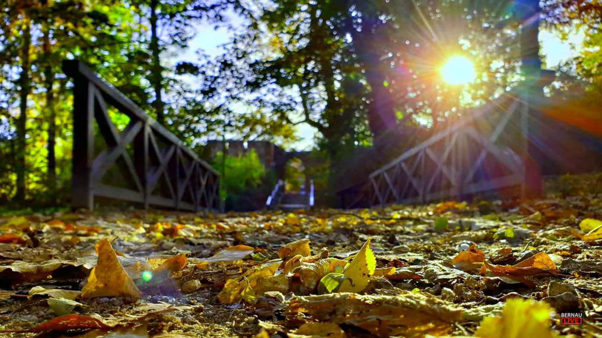 Willkommen in der neuen Woche und guten Morgen aus Bernau 5 Willkommen in der neuen Woche und guten Morgen aus Bernau