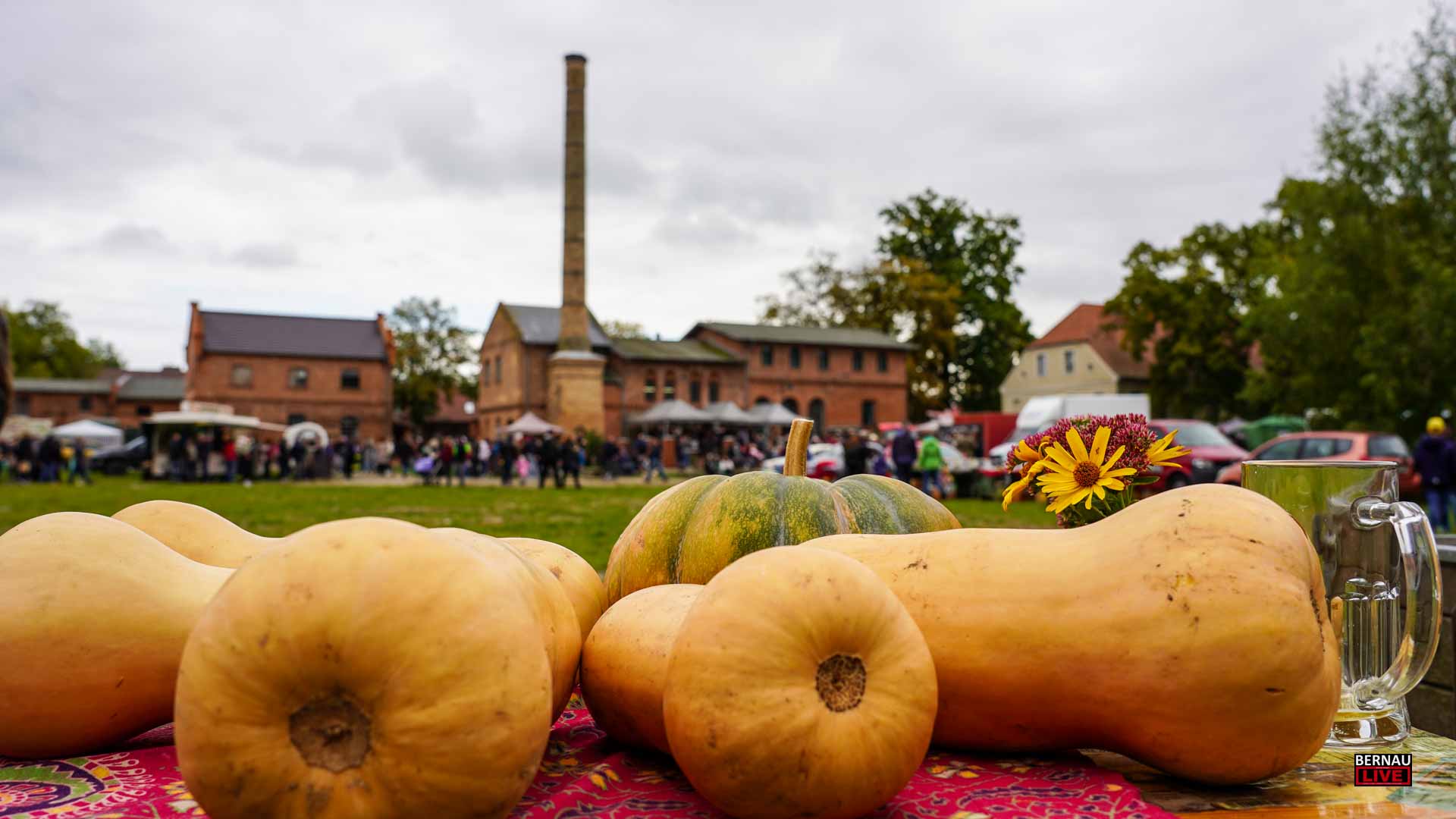 Kürbisse, Regionales, Bernauer Bier und Musik beim Kürbisfest in Börnicke 24 Kürbisse, Regionales, Bernau Bier und Musik beim Kürbisfest in Börnicke
