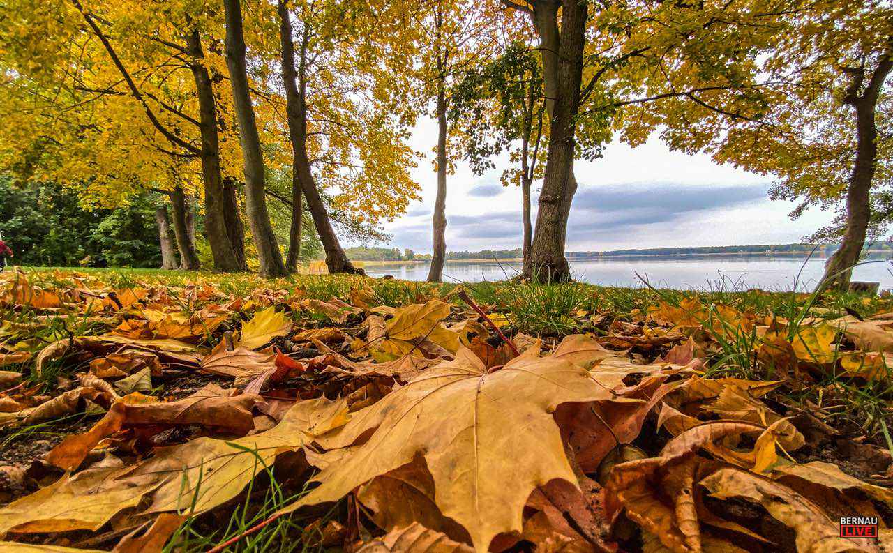 Veranstaltungen und Tipps für das Wochenende in Bernau und Barnim (11. - 12.10.) 7 Veranstaltungen und Tipps für das Wochenende in Bernau und Barnim (11. - 12.10.)