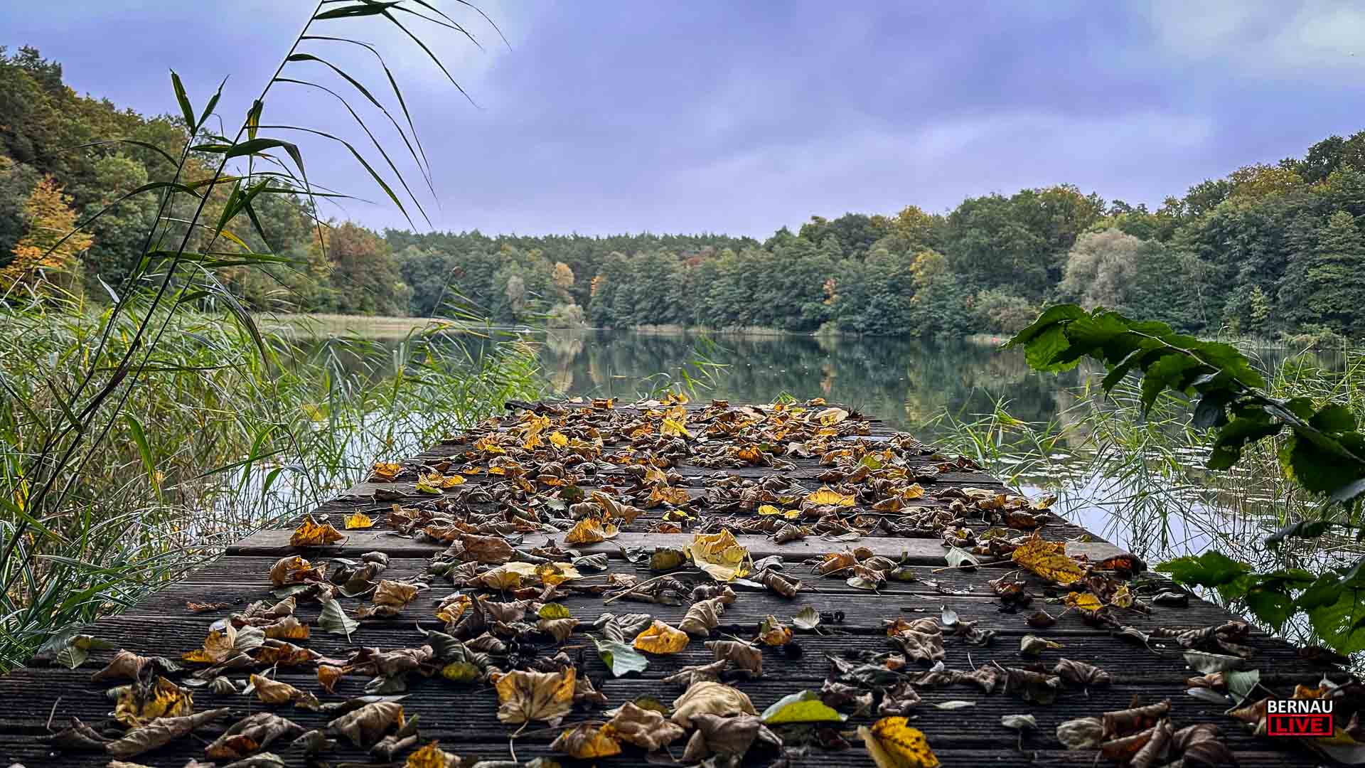 Guten Morgen aus Bernau und allen einen schönen Dienstag 19 Guten Morgen aus Bernau und allen einen schönen Dienstag