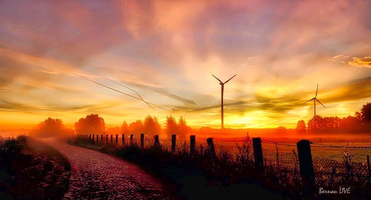 Guten Morgen aus Bernau an diesem frischen Donnerstagmorgen 16 Guten Morgen aus Bernau an diesem frischen Donnerstagmorgen