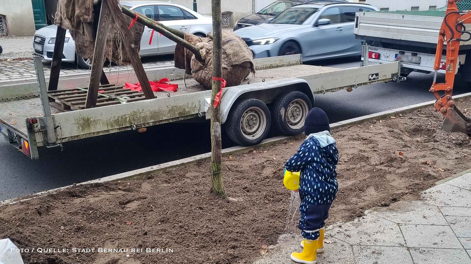 Ein (Baby) Baum fürs Leben: Milo und Lana Amira pflanzen ihre Zukunft in Bernau 1 Ein (Baby) Baum fürs Leben: Milo und Lana Amira pflanzen ihre Zukunft in Bernau