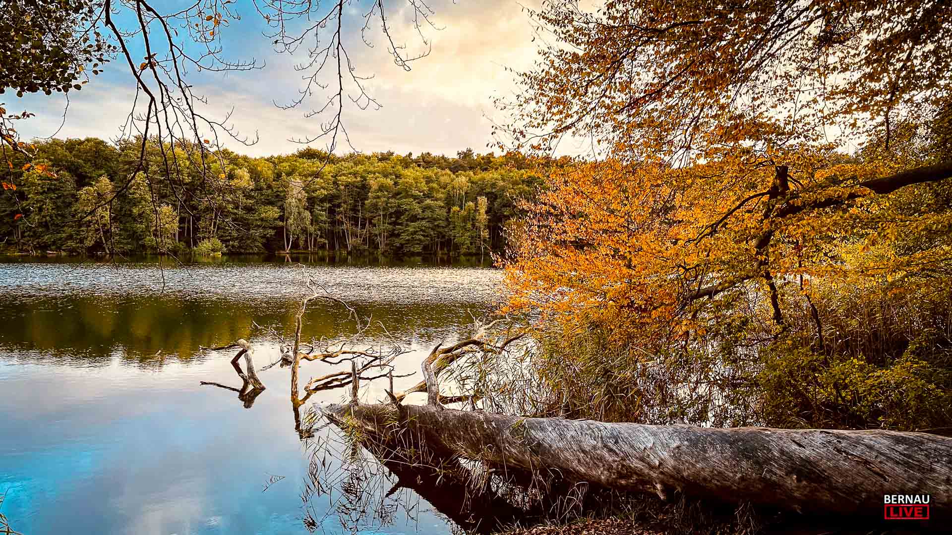Veranstaltungen und Tipps für das Wochenende in Bernau und Barnim (8.11. - 9.11.) 22 Veranstaltungen und Tipps für das Wochenende in Bernau und Barnim (8.11. - 9.11.)