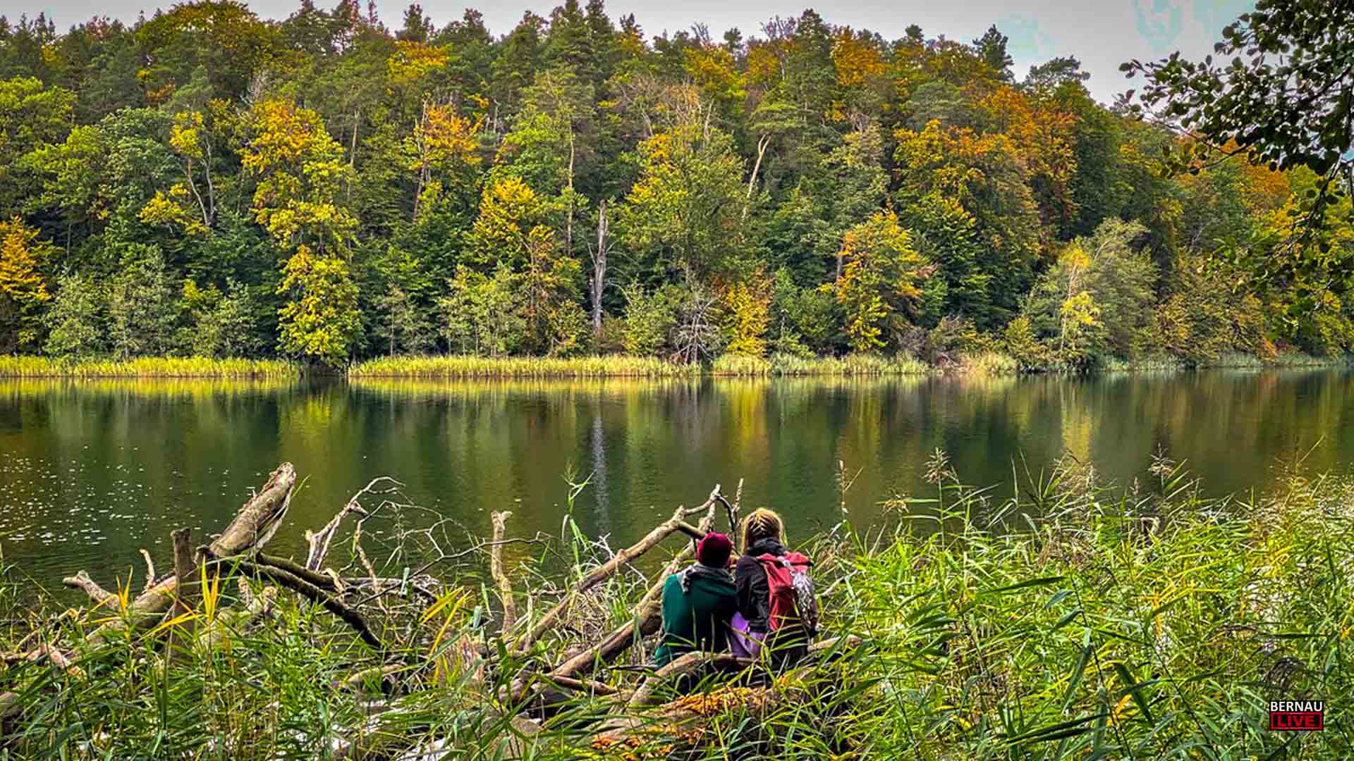 Veranstaltungen und Tipps für das Wochenende in Bernau und Barnim (1.11. - 2.11.) 1 Veranstaltungen und Tipps für das Wochenende in Bernau und Barnim (1.11. - 02.11.)