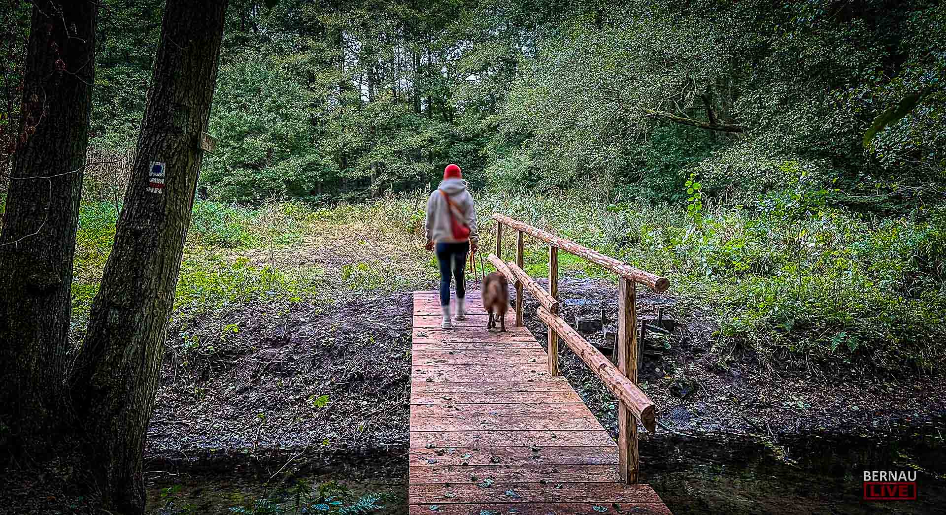 Aktionswoche „Worte statt Wunden“ – gemeinsam gegen häusliche Gewalt 1 Aktionswoche „Worte statt Wunden“ – gemeinsam gegen häusliche Gewalt