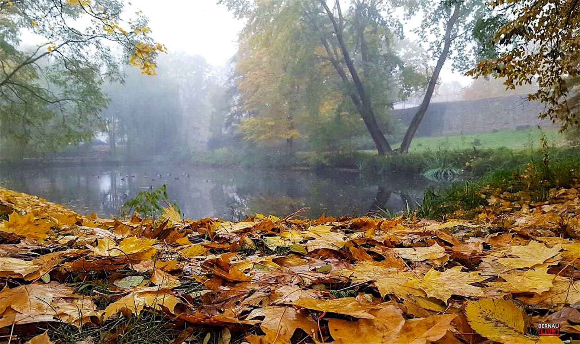 Guten Morgen aus Bernau und allen eine gute Wochenmitte 1 Guten Morgen aus Bernau und allen eine gute Wochenmitte
