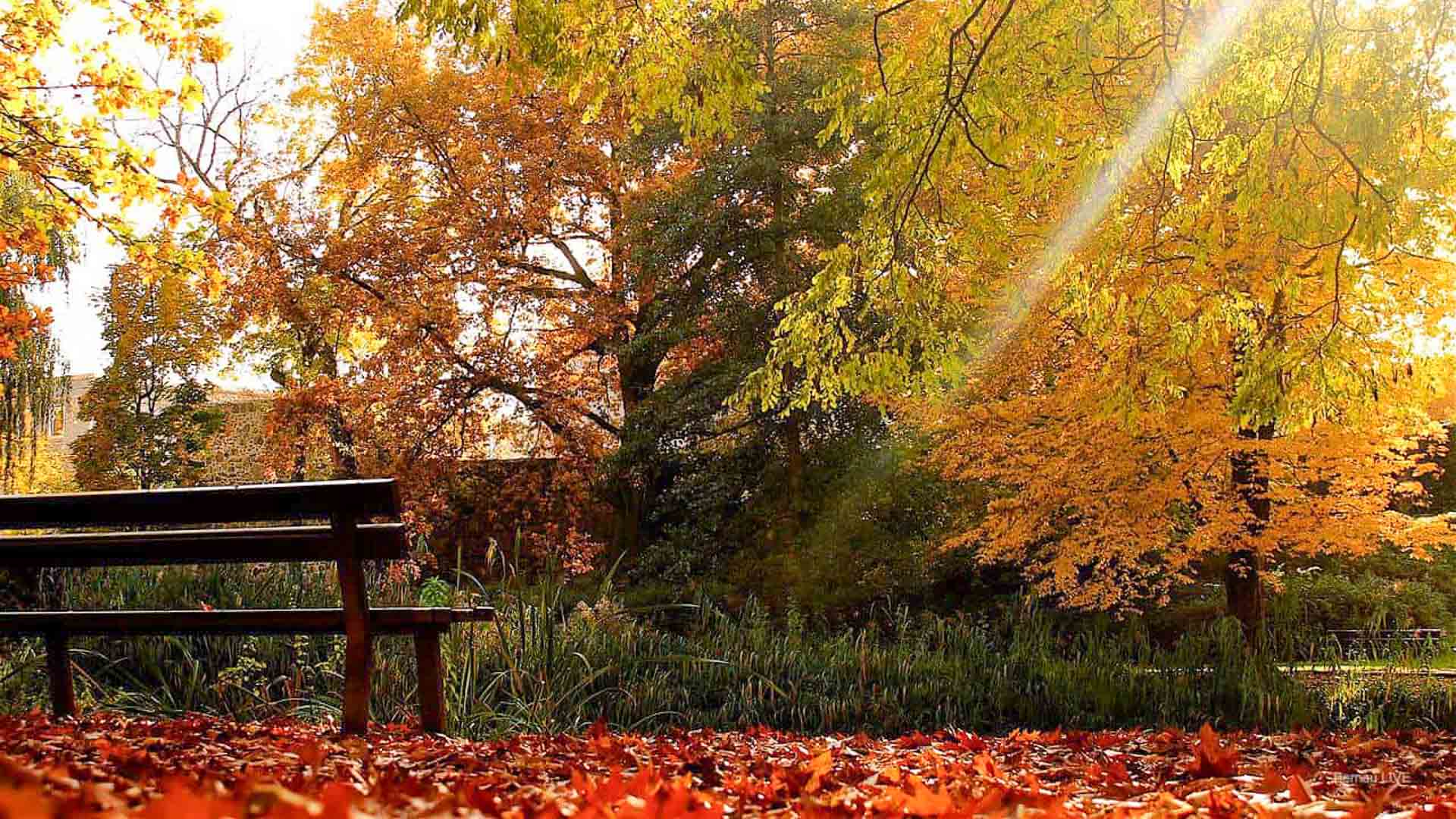 Guten Morgen aus Bernau und allen einen sonnig-schönen Donnerstag 29 Guten Morgen aus Bernau und allen einen sonnig-schönen Donnerstag