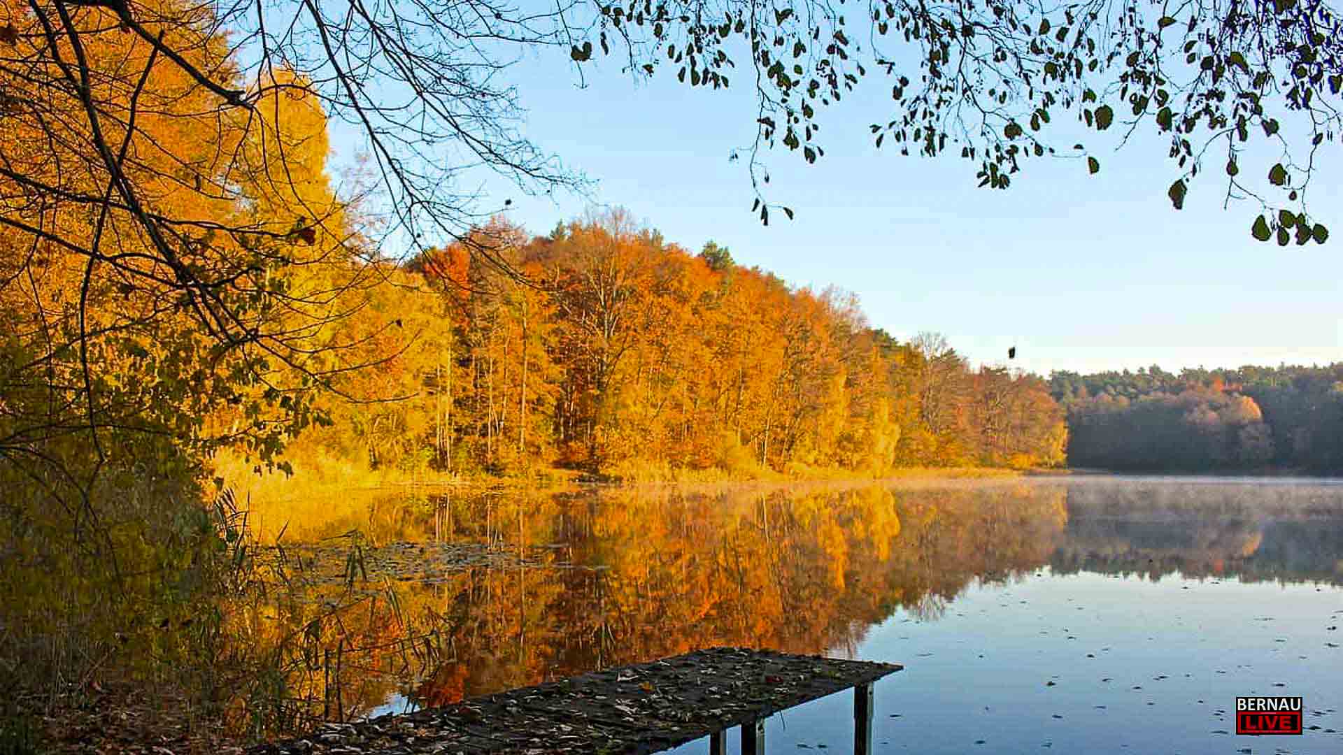 Veranstaltungen und Tipps für das Wochenende in Bernau und Barnim (15.11. - 16.11.) 15 Veranstaltungen und Tipps für das Wochenende in Bernau und Barnim (15.11. - 16.11.)