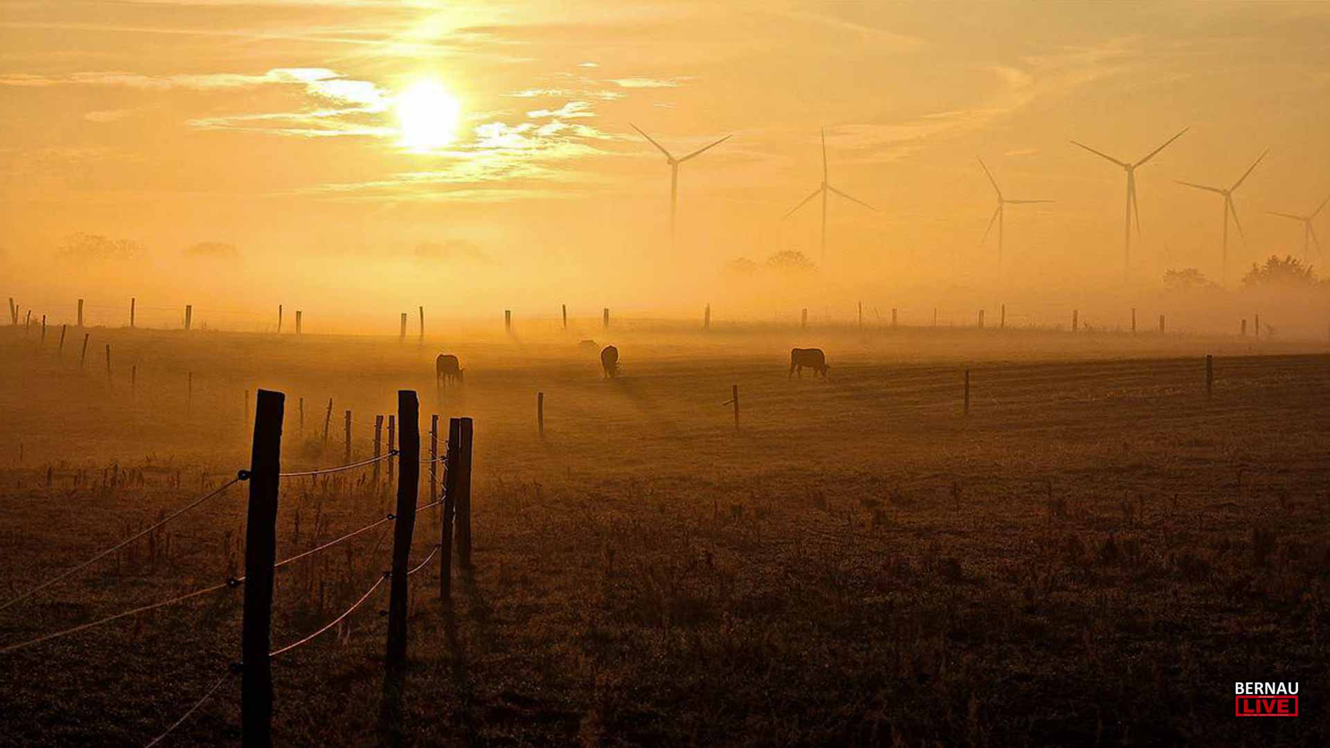 Willkommen in der Wochenmitte und guten Morgen aus Bernau 24 Willkommen in der Wochenmitte und guten Morgen aus Bernau