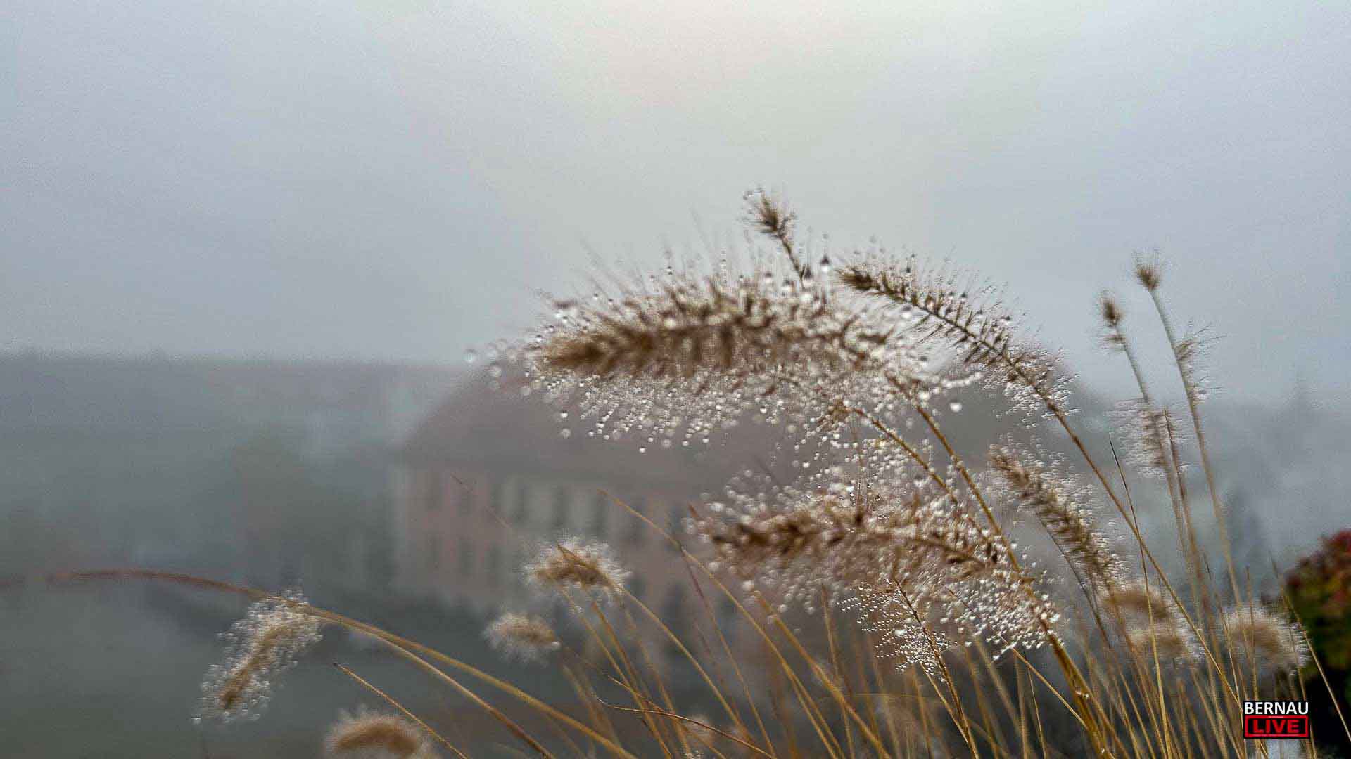 Willkommen in der neuen Woche und guten Morgen aus Bernau 19 Willkommen in der neuen Woche und guten Morgen aus Bernau
