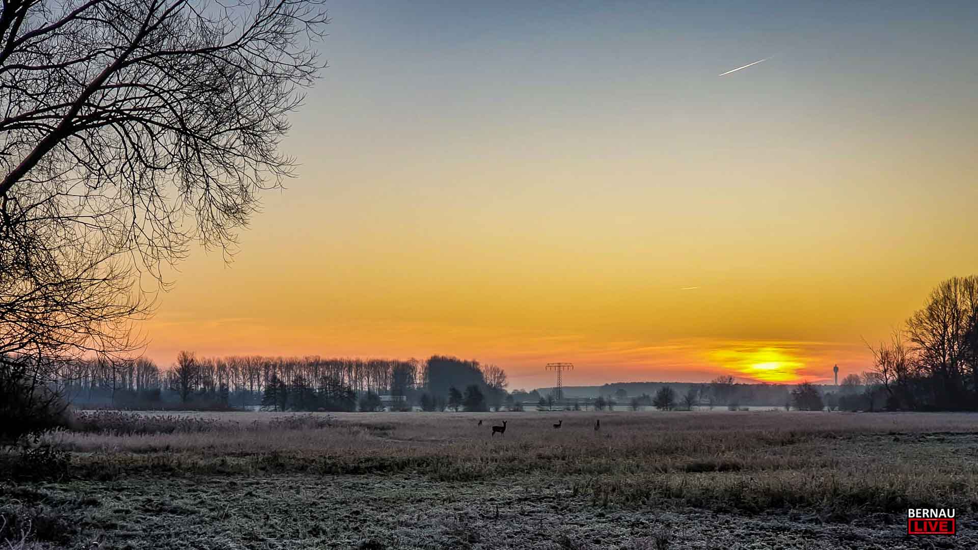 Guten Morgen aus Bernau und willkommen in der Wochenmitte 1 Guten Morgen aus Bernau und willkommen in der Wochenmitte