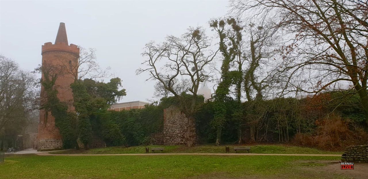 Veranstaltungen und Tipps für das Wochenende in Bernau und Barnim (13. - 14.12.) 29 Veranstaltungen und Tipps für das Wochenende in Bernau und Barnim (13. - 14.12.)