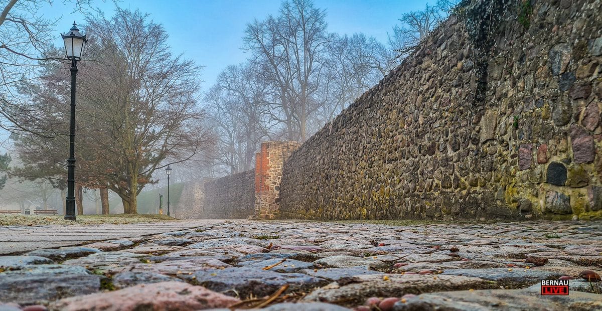 Willkommen in der neuen Wochen und guten Morgen aus Bernau 1 Bernau LIVE - Dein Stadtmagazin für Bernau bei Berlin