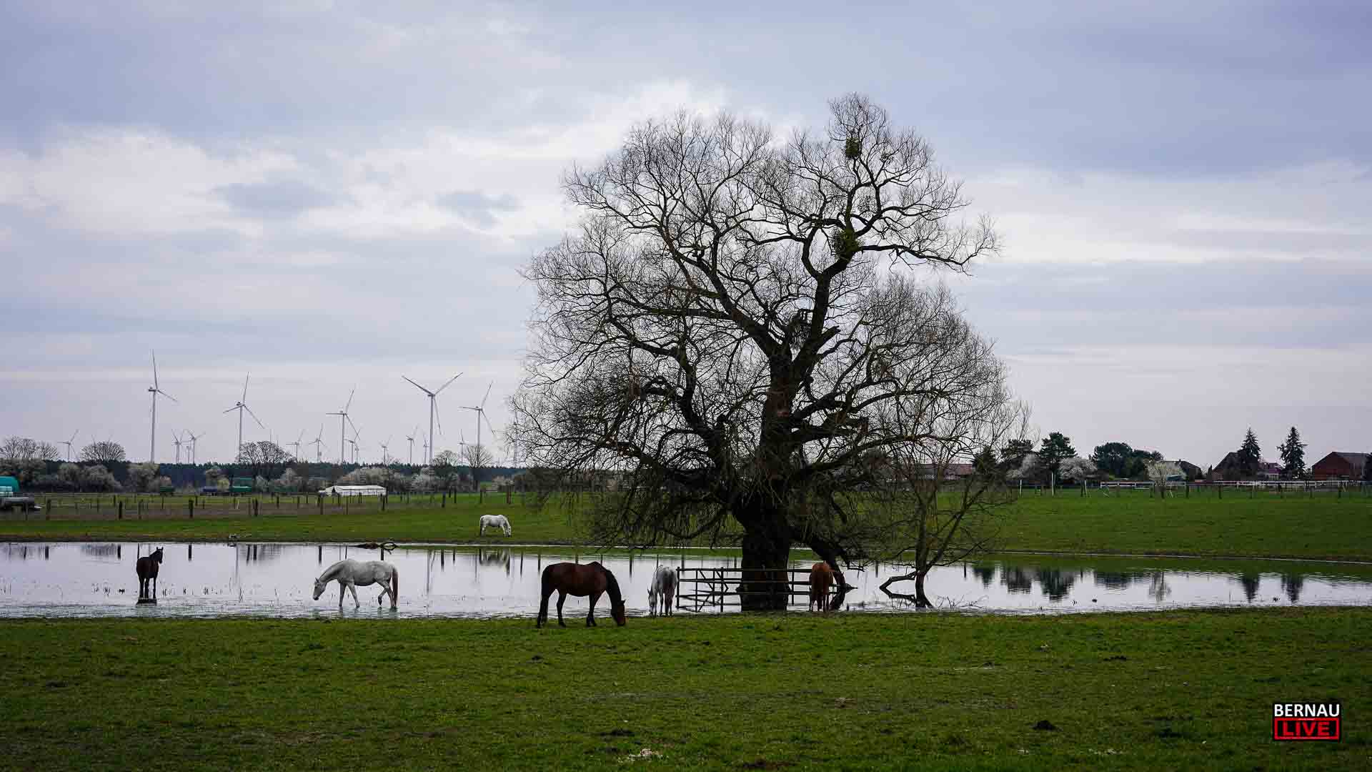 Willkommen in der neuen Woche und guten Morgen aus Bernau 17 Willkommen in der neuen Woche und guten Morgen aus Bernau
