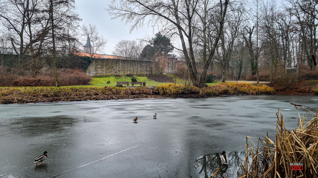 Veranstaltungen und Tipps für das Wochenende in Bernau und Barnim 16 Veranstaltungen und Tipps für das Wochenende in Bernau und Barnim