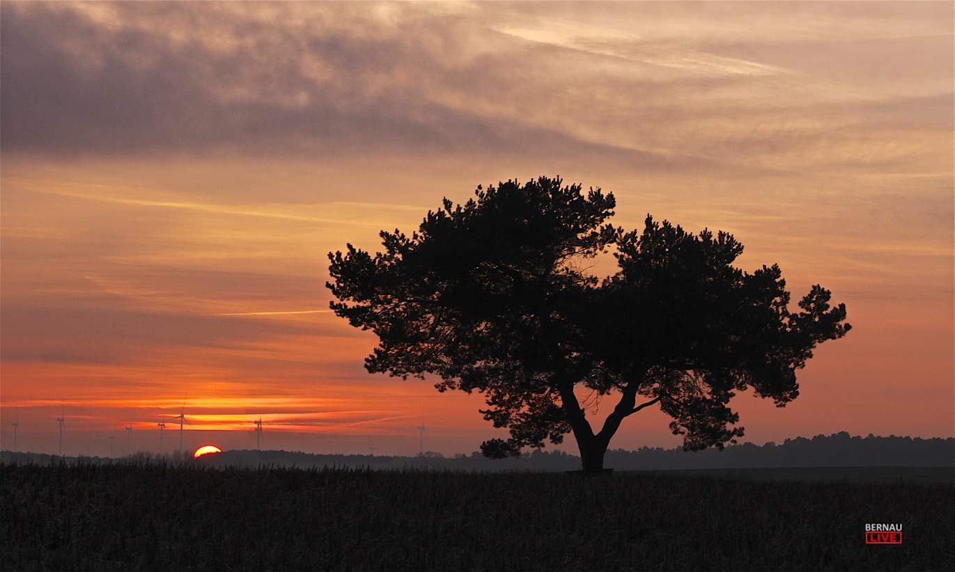 Guten Morgen aus Bernau und einen schönen Freitag 10 Guten Morgen aus Bernau und einen schönen Freitag