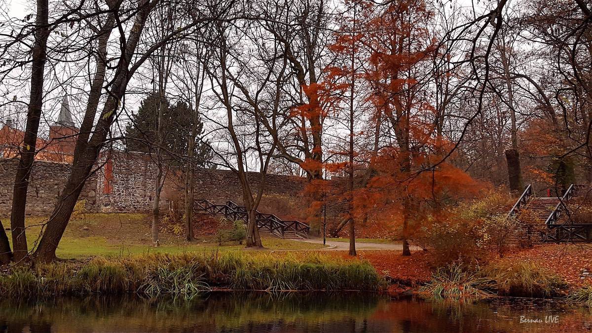 Allen einen schönen Freitag und guten Morgen aus Bernau 1 Allen einen schönen Freitag und guten Morgen aus Bernau