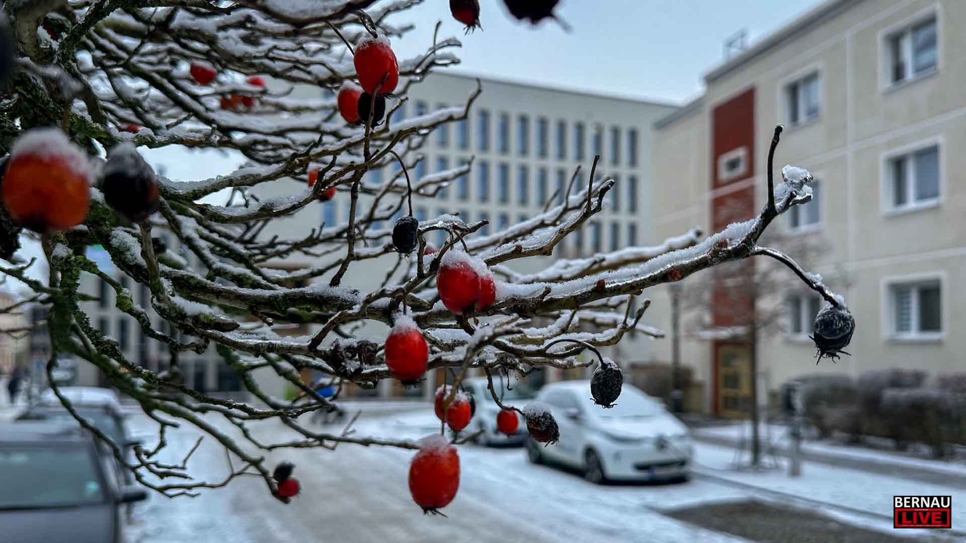 Guten Morgen aus Bernau und allen eine gute Wochenmitte