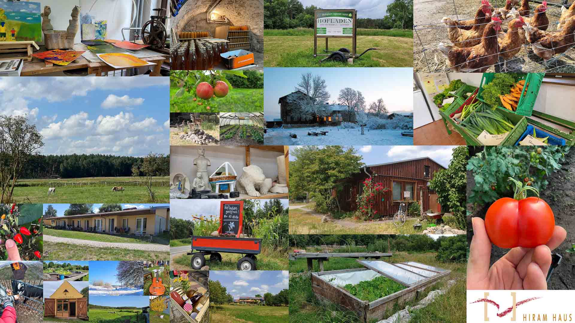 Fachkraft (m/w/d) im Gartenbereich als Elternzeitvertretung in Wandlitz gesucht!