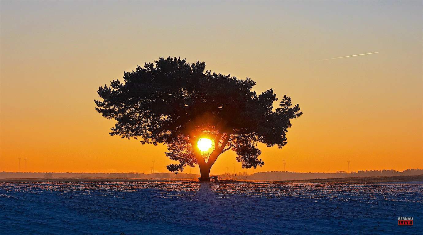Allen einen schönen Freitag und guten Morgen aus Bernau 1 Allen einen schönen Freitag und guten Morgen aus Bernau