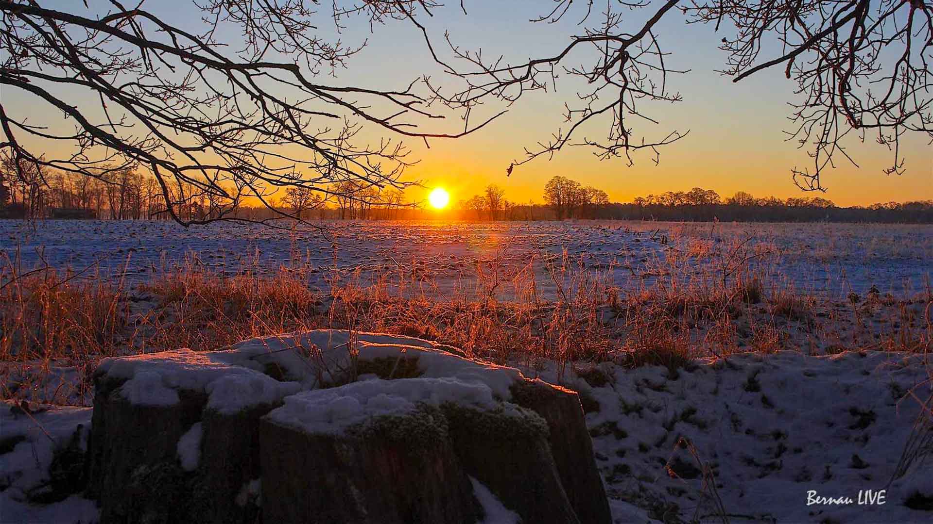 Willkommen in der neuen Woche und guten Morgen aus Bernau