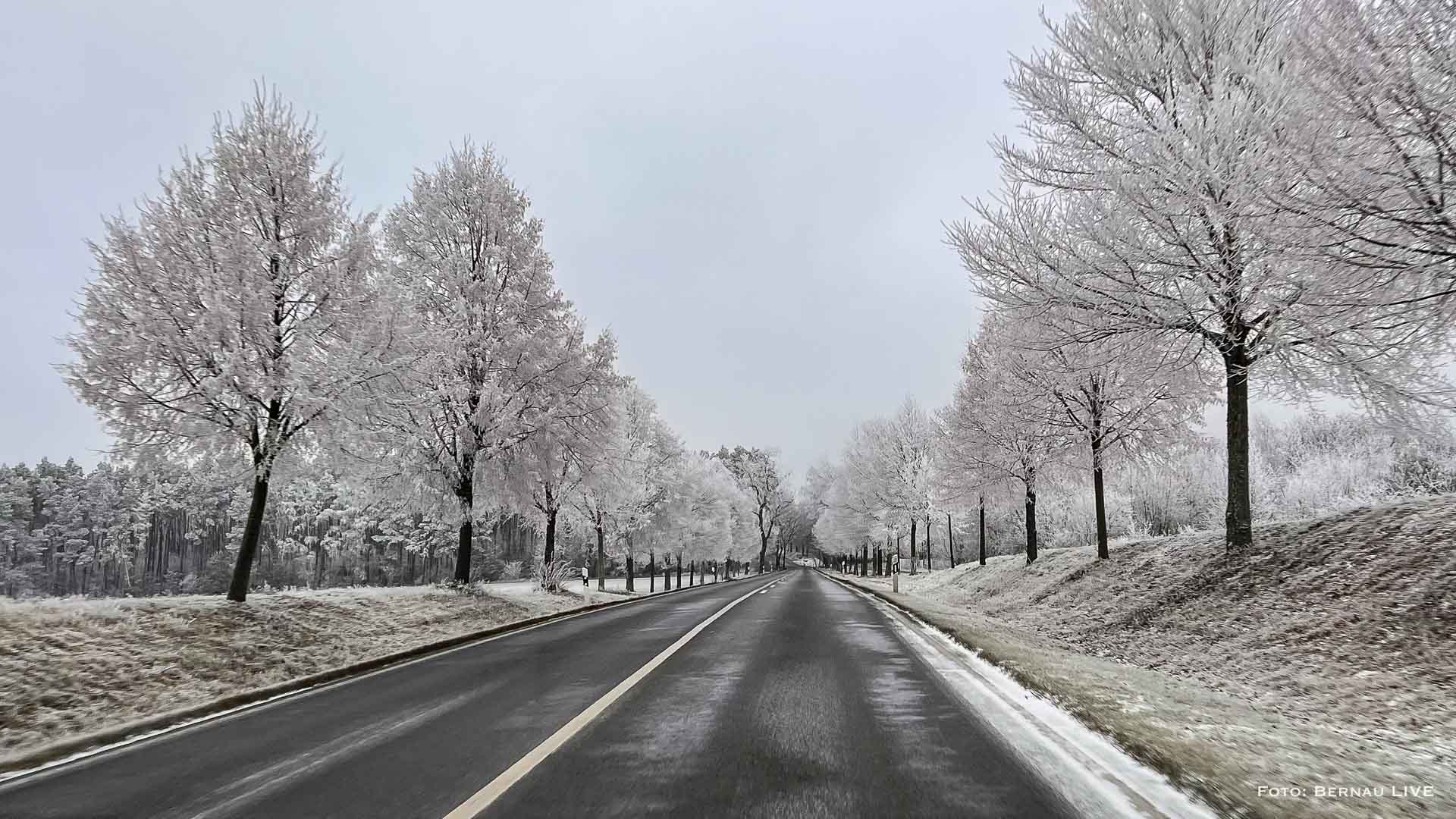 Bernau LIVE wünscht einen schönen Freitag, guten Morgen 1 Bernau LIVE wünscht einen schönen Freitag, guten Morgen