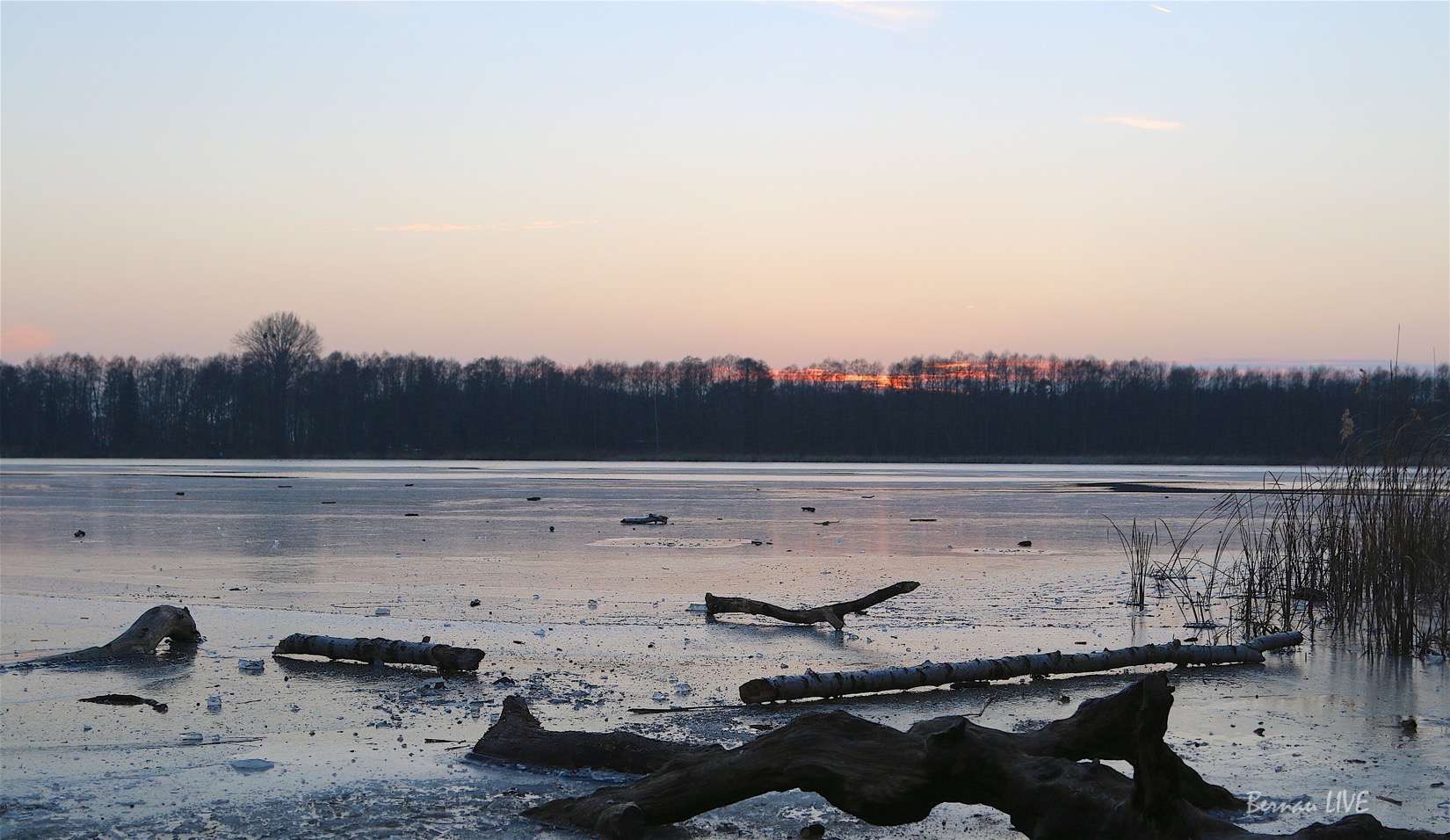 Guten Morgen aus Bernau und einen schönen Dienstag 15 Guten Morgen aus Bernau und einen schönen Dienstag